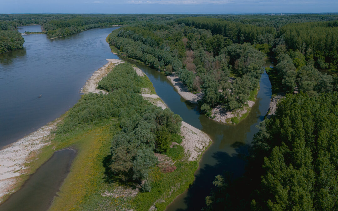 Zaniklá dunajská ramena znovu ožívají. WWF vrací na Slovensku vodu do krajiny
